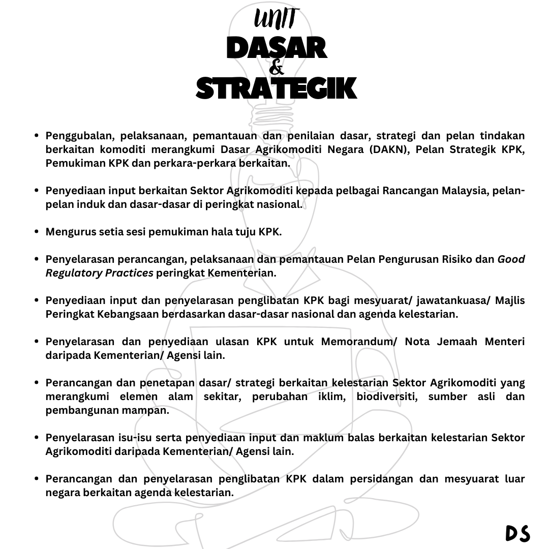 DS BM
