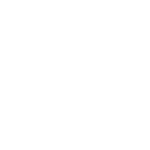 Carta Organisasi